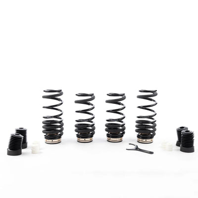 BC Racing ASP Series Springs for 2018+ BMW 8 Series 840i RWD